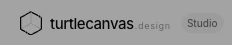 turtlecanvas logo, found in the recording